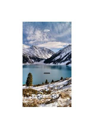 Колонка газовая ДОН JSD-20 EGFT winter mountain