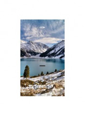 Колонка газовая ДОН JSD-20 EGFT winter mountain