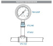 Муфта переходная 6/4"-2.0" В-В латунь VTr.240