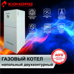 Котел газовый АКГВ-11.6-3Т  заднее подключение двухконтурный
